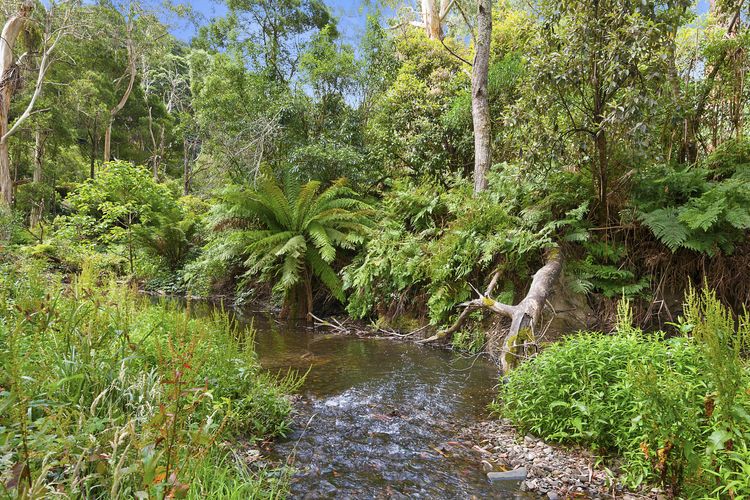 A Little Touch Of Paradise