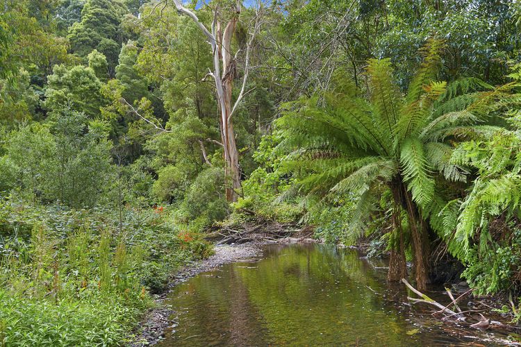 A Little Touch Of Paradise