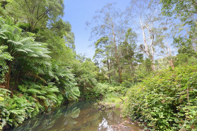 A Little Touch Of Paradise