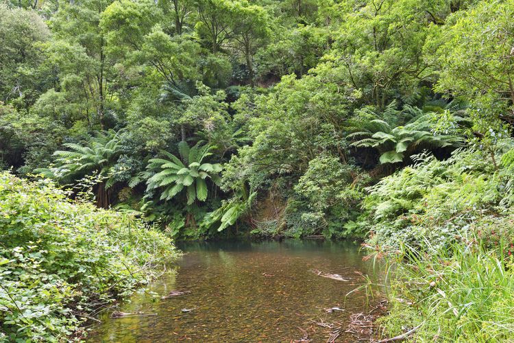 A Little Touch Of Paradise