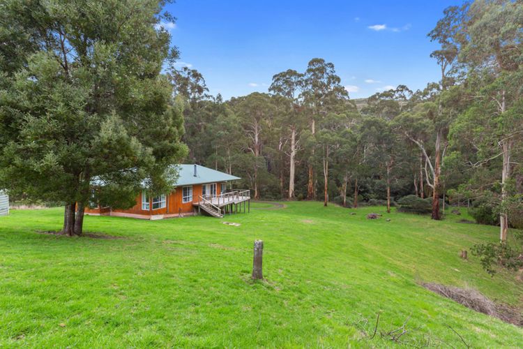 A Little Touch Of Paradise