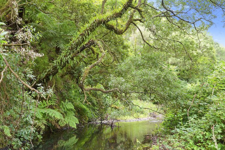 A Little Touch Of Paradise