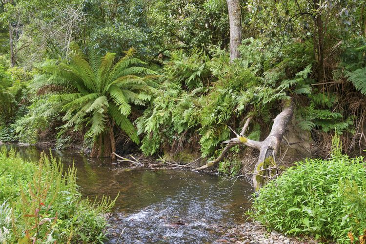 A Little Touch Of Paradise