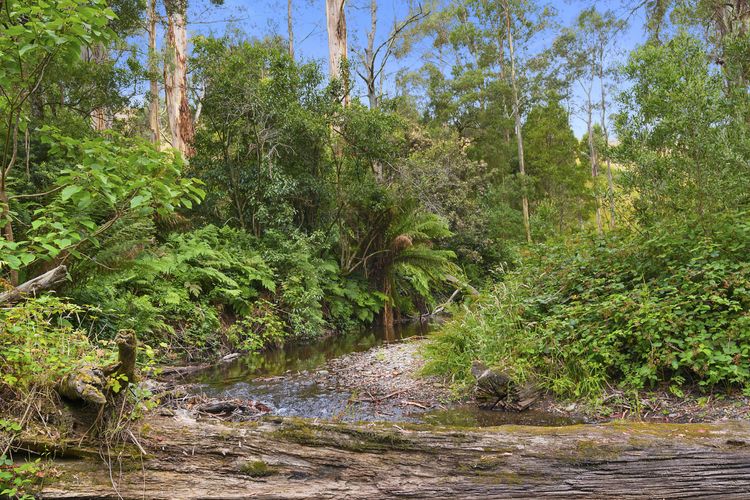 A Little Touch Of Paradise