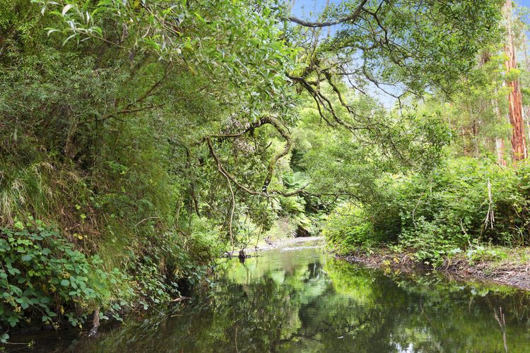 A Little Touch Of Paradise