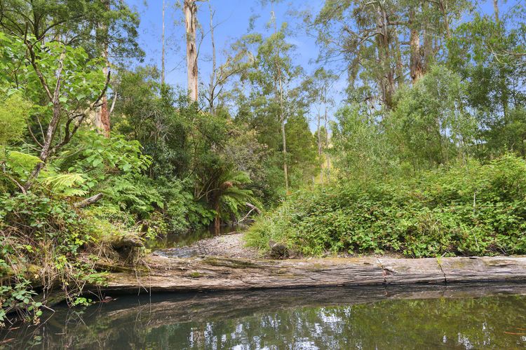 A Little Touch Of Paradise