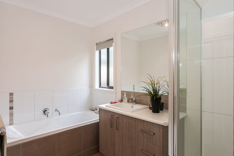 Bush Surrounds On Weir