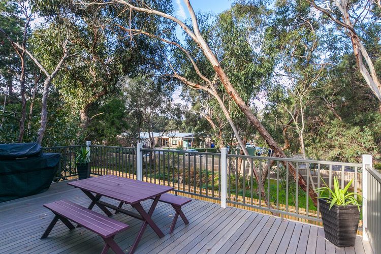 Bush Surrounds On Weir
