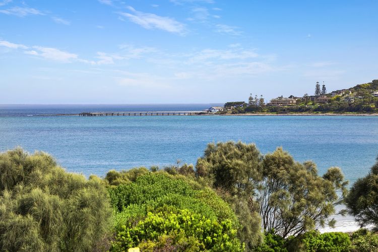 Great Ocean View