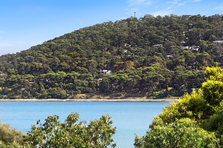 Great Ocean View