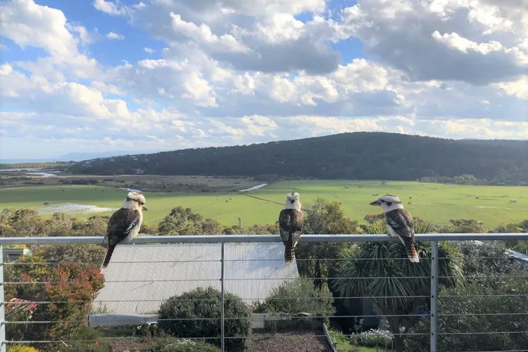 A few locals enjoying the view from the deck.