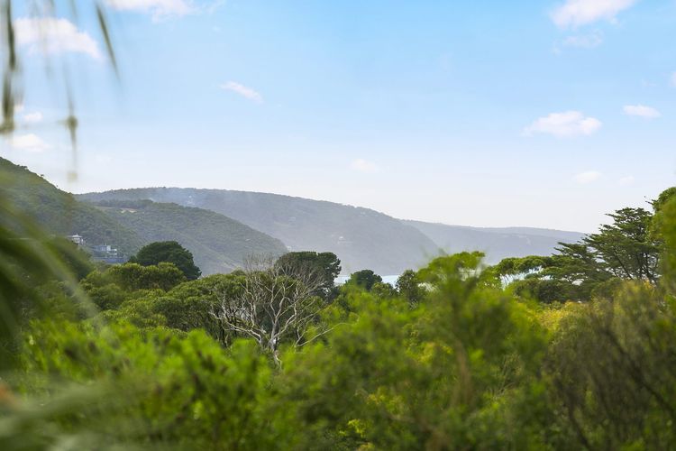 Lorne Chalet Apartment 11 Odyssea