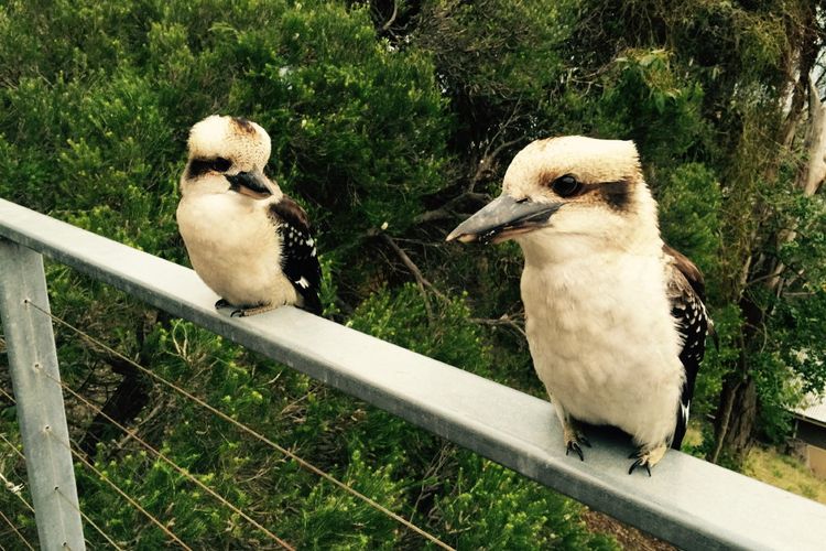 Ocean View – Views Galore