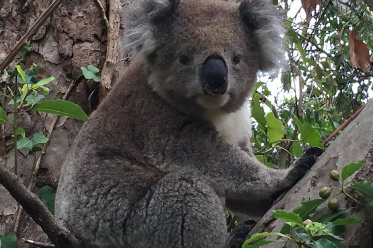 Ocean View – Views Galore