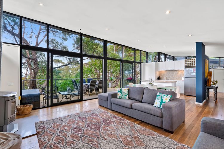 Ocean View Treetops Retreat