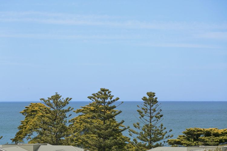 Sandy Beach Apt 6