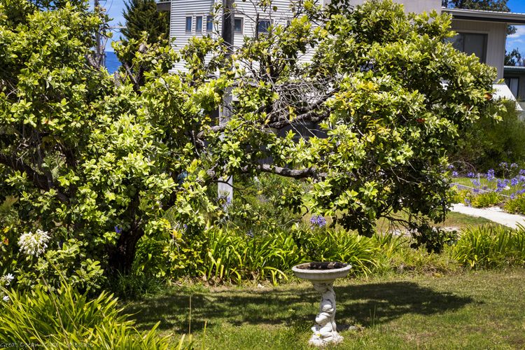 Sea Sunrise – Ocean Views & Walk To Beach