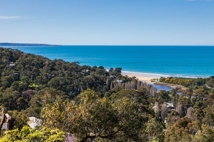 Seamist – Elevated With Amazing Outlook