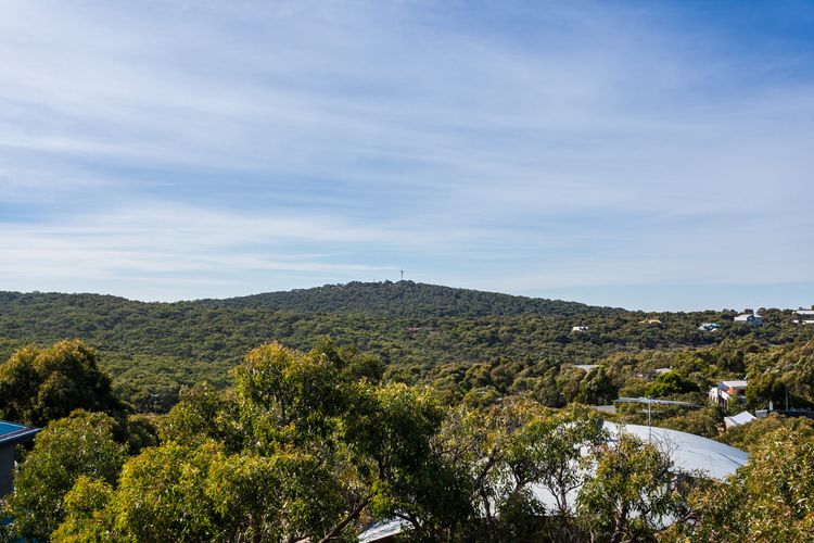 She Oak – Stroll To Fairhaven Surf Club/Beach & Pets Welcome