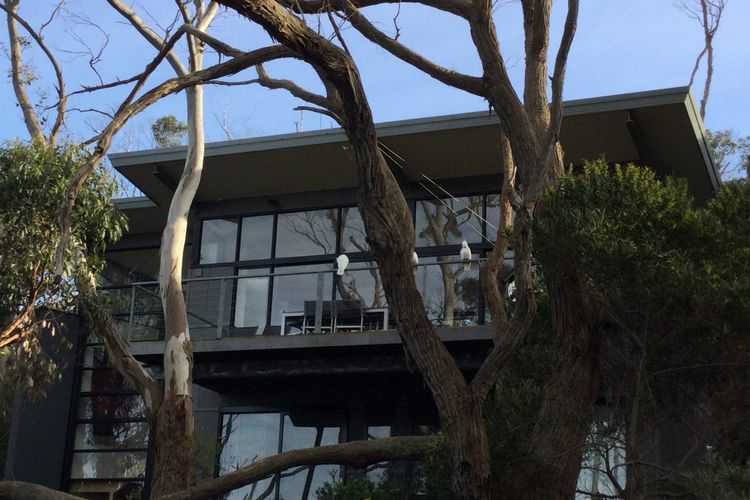 Treetops Terrace 10 @ C-Air