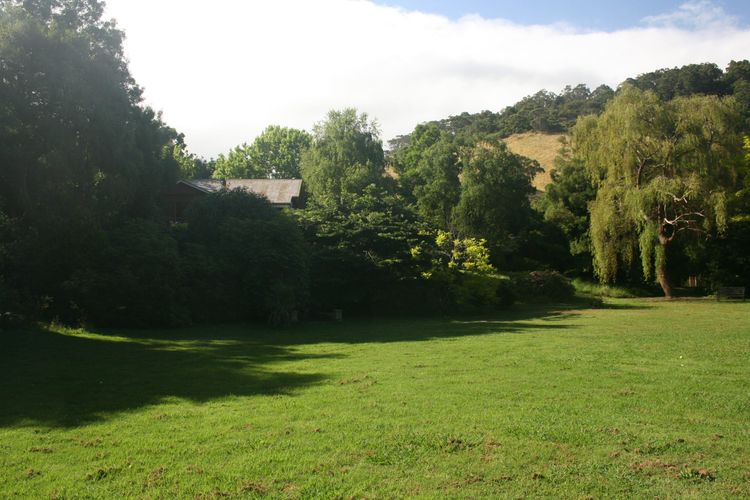 Willowhaven