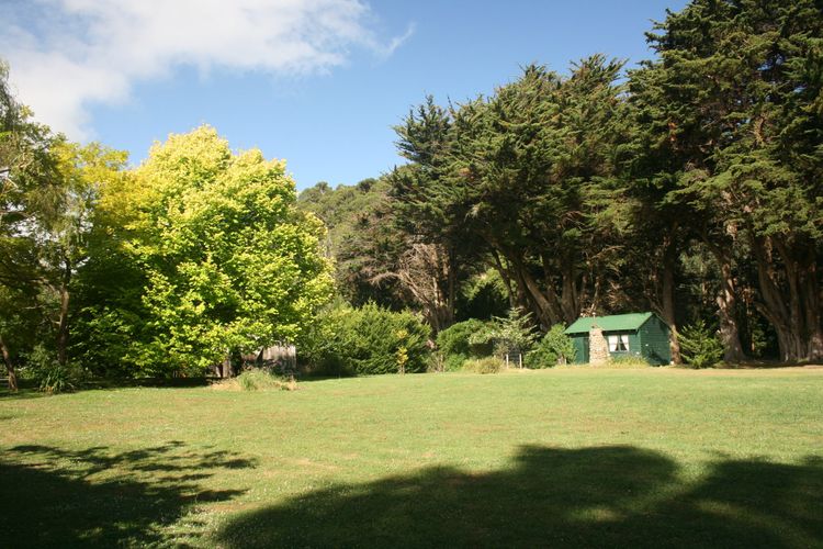 Willowhaven