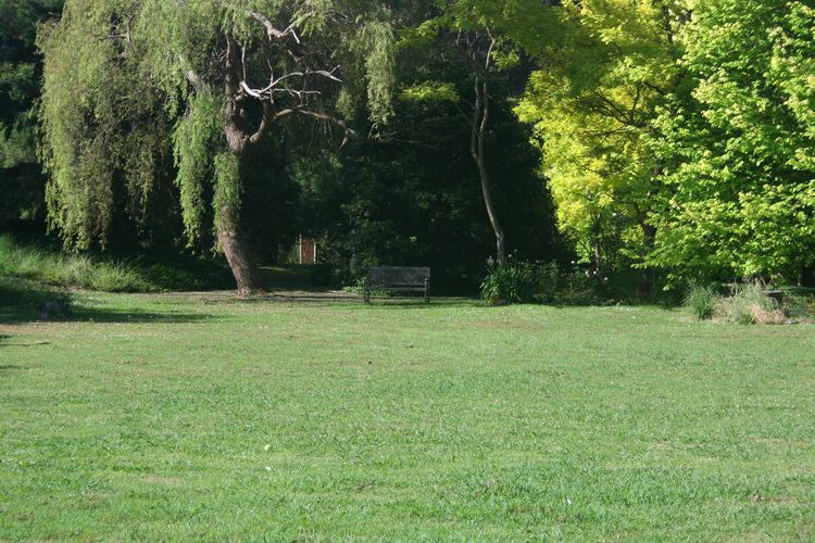 Willowhaven