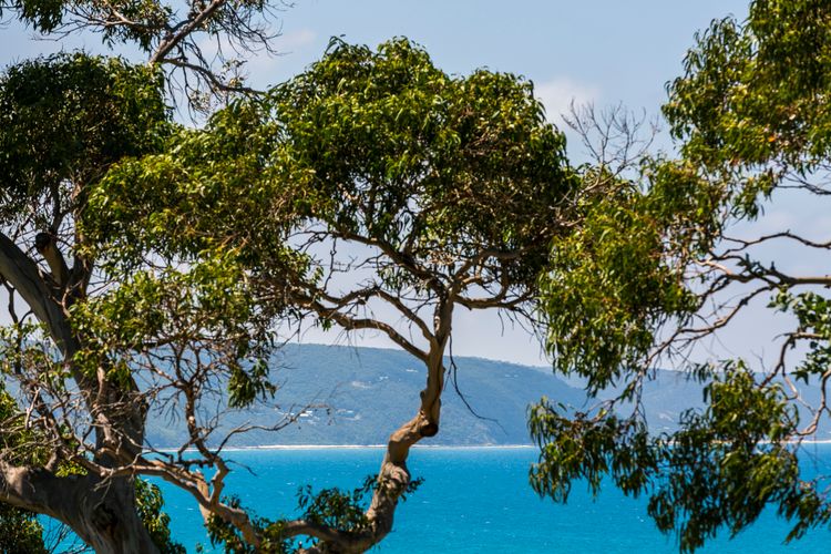 Apartment 20 Kalimna