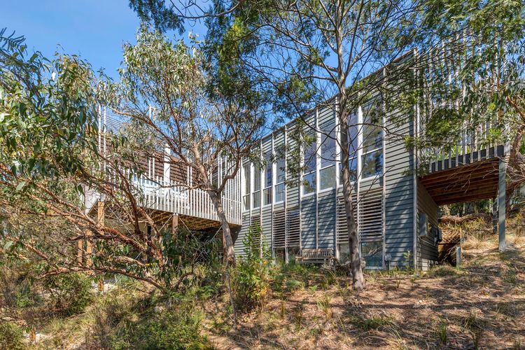 Tree Top House