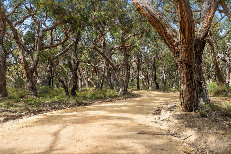 Freestone Park