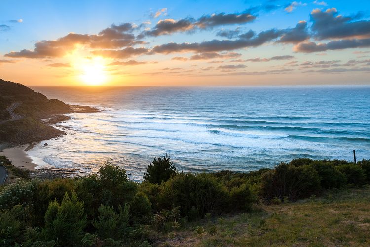 Apartment 5 Pacific Apartments