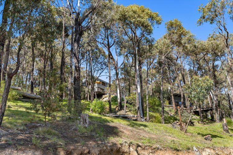 Meandering bush walking tracks right from your door