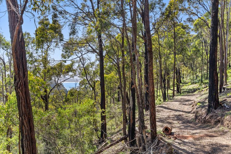 Beautiful walking trails through nature
