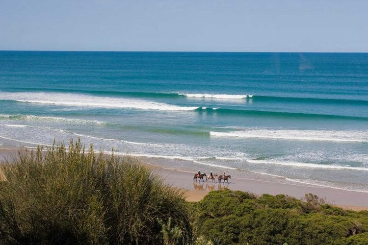 Pelican Views – Fairhaven