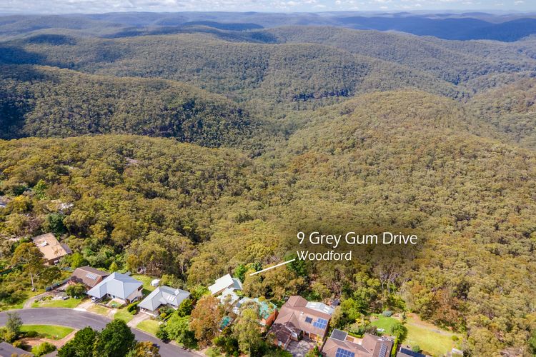 Grey Gum Lodge
