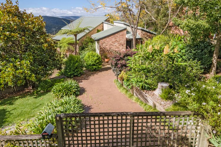 Grey Gum Lodge