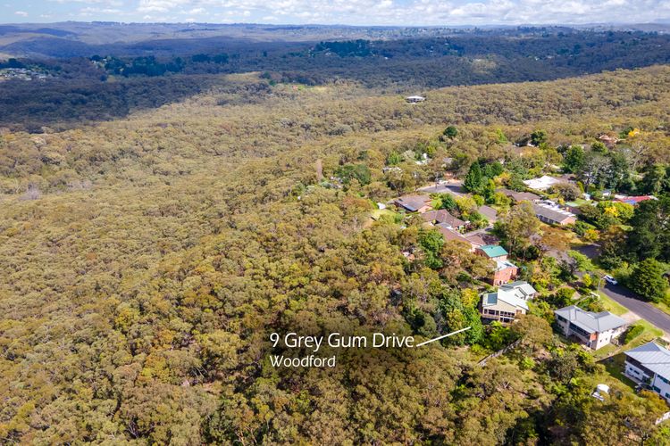 Grey Gum Lodge