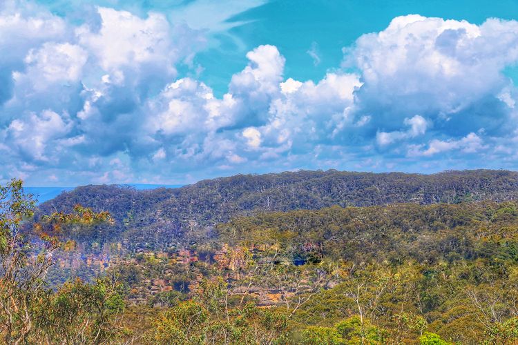 Emerald View