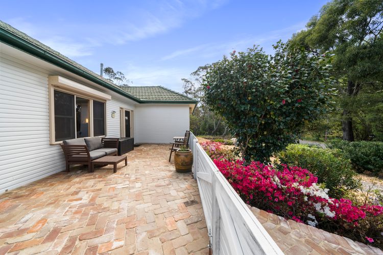 Banksia Tops