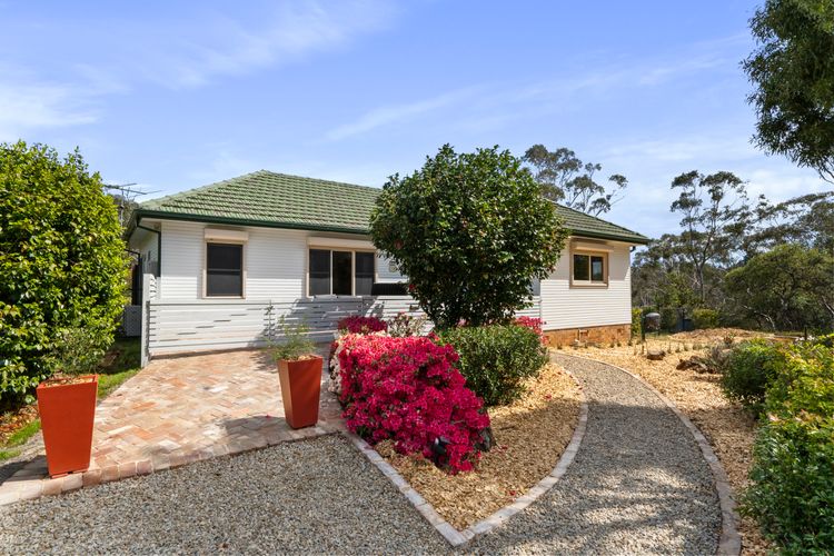 Banksia Tops