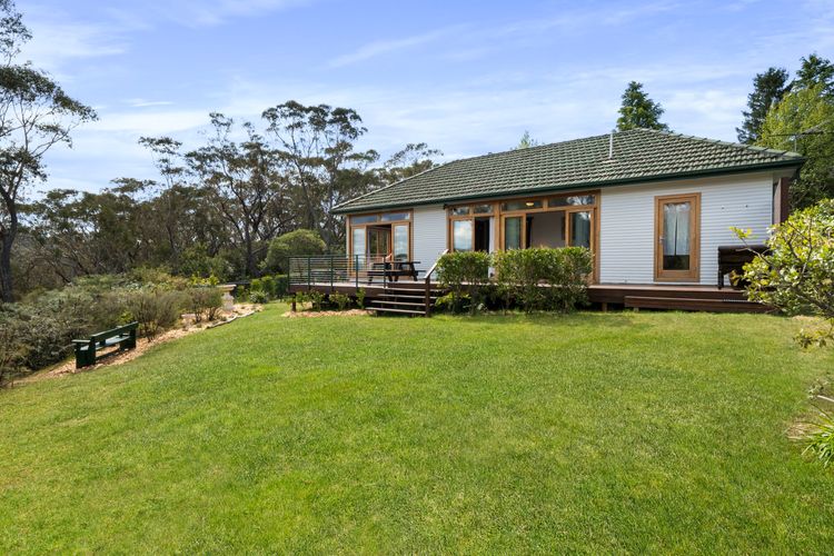 Banksia Tops
