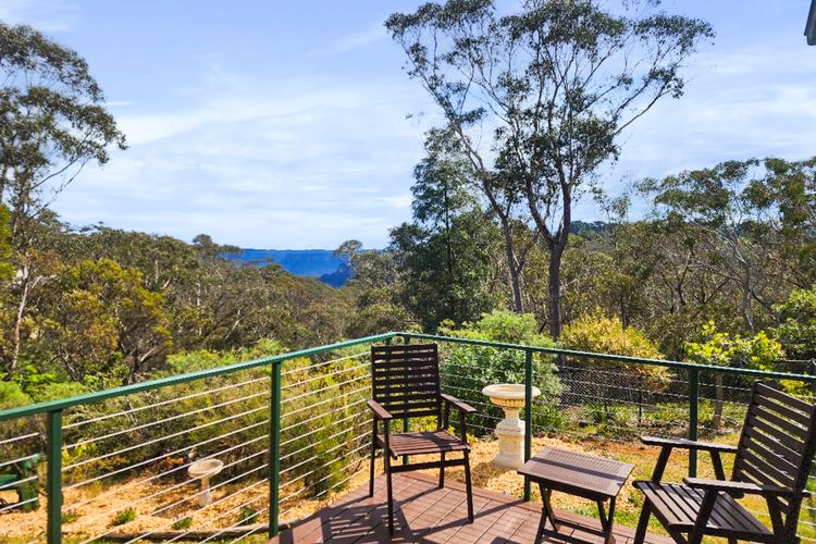 Banksia Tops