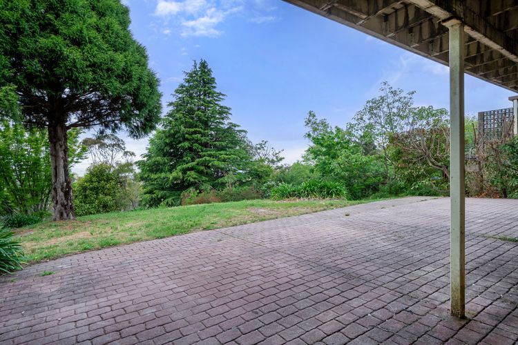 Narrow Neck Hideaway & Studio