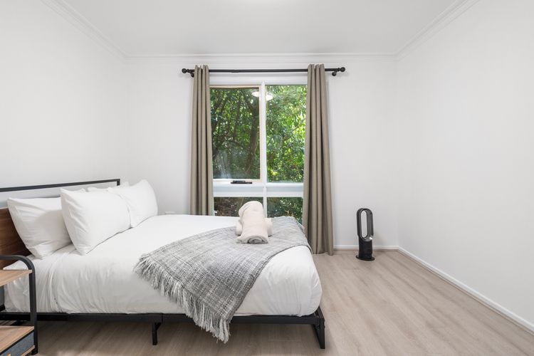 Narrow Neck Hideaway & Studio