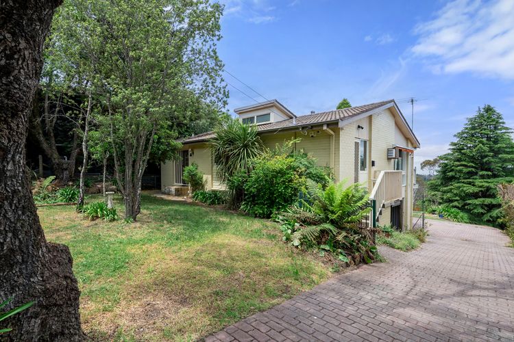 Narrow Neck Hideaway