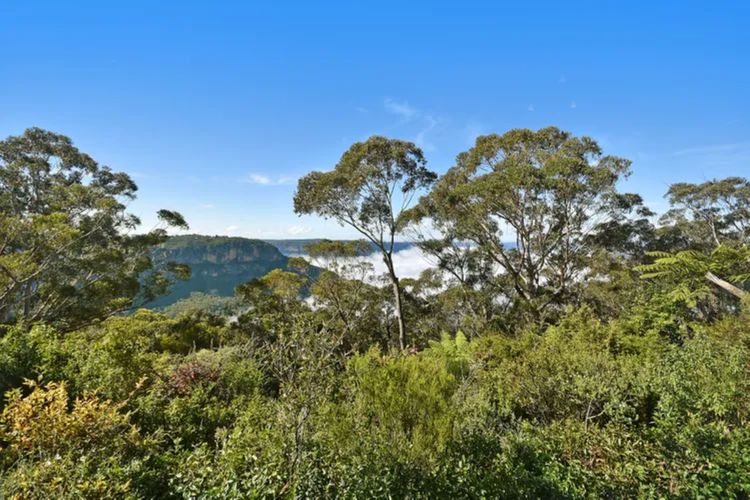 Narrow Neck Hideaway