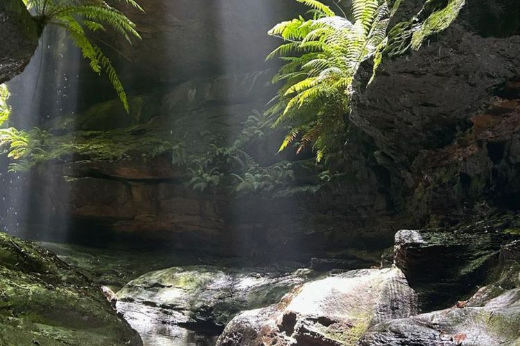 The Lodge Blackheath