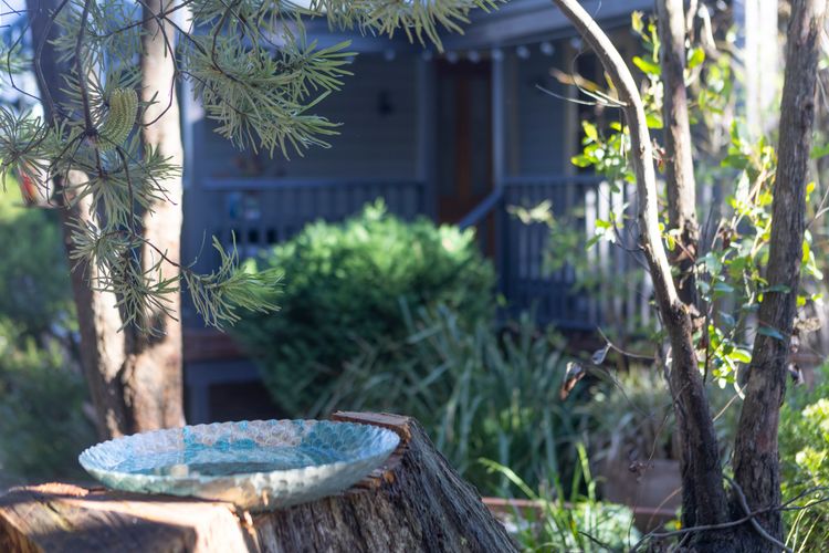 The Lodge Blackheath