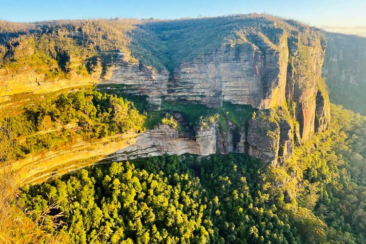 The Lodge Blackheath