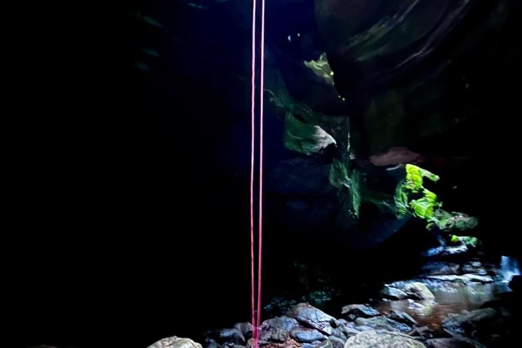 The Lodge Blackheath